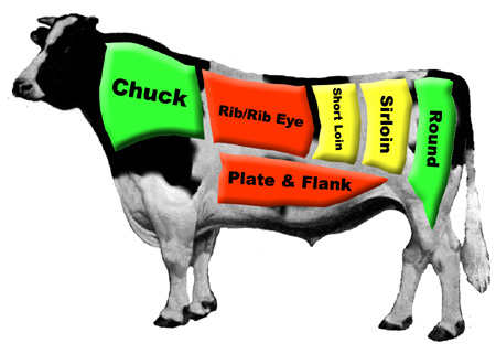 Where beef cuts come from