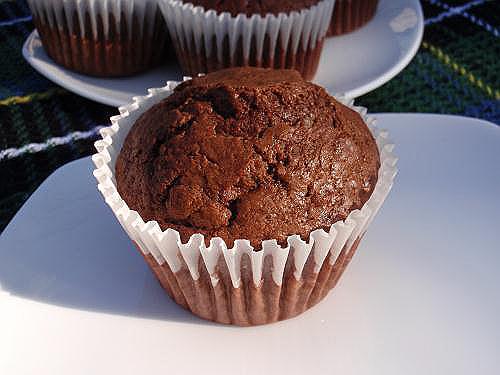 chocoate chip muffins
